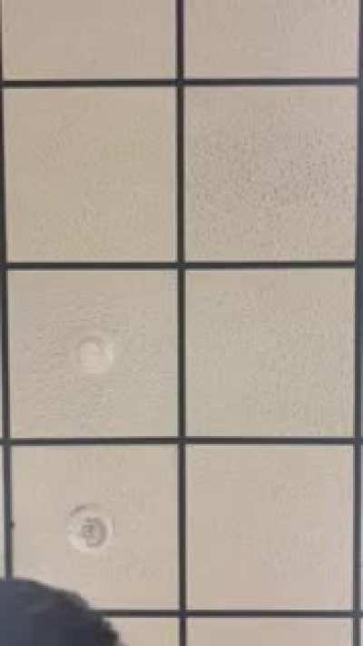 Drunk Teacher Freakout