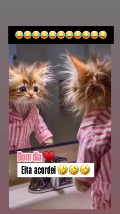 Bom Dia, Você já acordou assim...