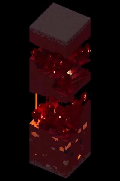 The biomes of the new nether