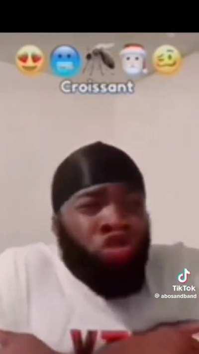 Not the mosquito again