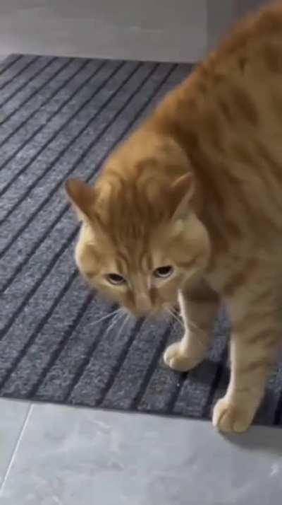 Imagine hearing this at 3 am