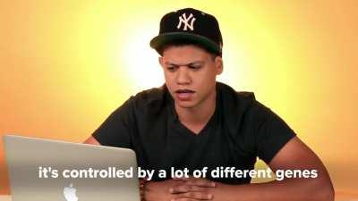 Latinos get in a competition to see who has the most European ancestry 👱🏻‍♂️👱🏻‍♂️👱🏻‍♂️👱🏻‍♂️💯💯💯💯🏆🏆🏆🏆
