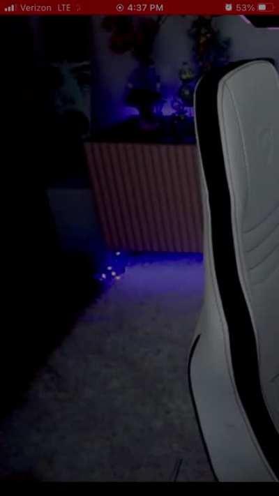 Little edit I made from today’s stream