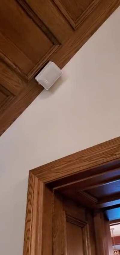 I'm at the beautiful Boldt Castle, Thousand Islands, Upstate New York. They were playing Oblivion music over the PA