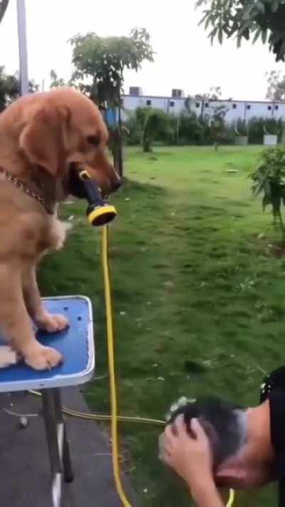 He obviously didn't complete the training