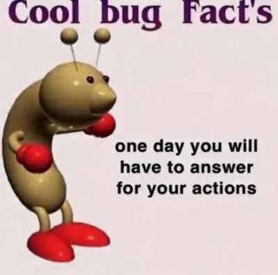 Cool Bug Fact's