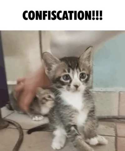 NOT DA CAHPRBBKSBUBUBU cjahjaja LA LA CAFETIÈRE UVZYZ YAVYVZYZVY8Z H0Z ZH I ZVYZ ZYV