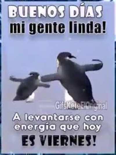 Feliz Viernes 🥵🥵🥵