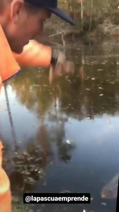 Alligator pie, alligator pie, If I don't get some... OH SHIT!!!