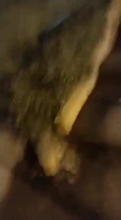 juramento terceiro exquece 👌🏼💪🏼🇦🇷