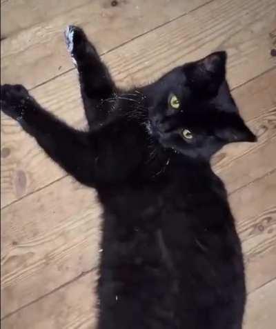 Feel no regrets. (found on the internet)