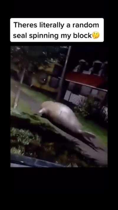 Lucki pullin up on bruce