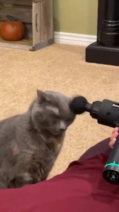 Ну, то есть эта штука всё - таки для кисок?