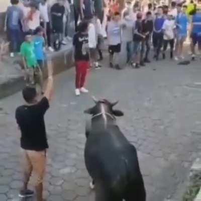 WCGW Touching The Horn Of A Raging Bull