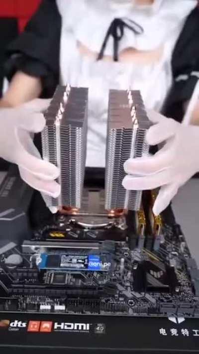 Not sure if a repost......but what we want, most of us, yes I want.