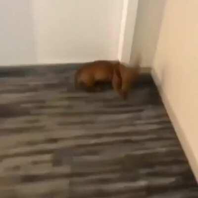 When your favourite place is bed.