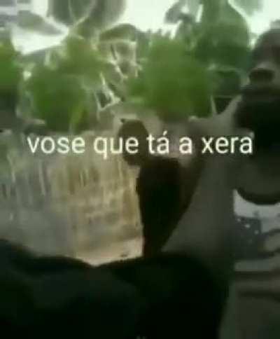 Aiai viu, angolanos... Sksksk