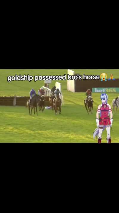 I think I'm starting to see why people used to believe White and Grey Horses did not belong on the track.