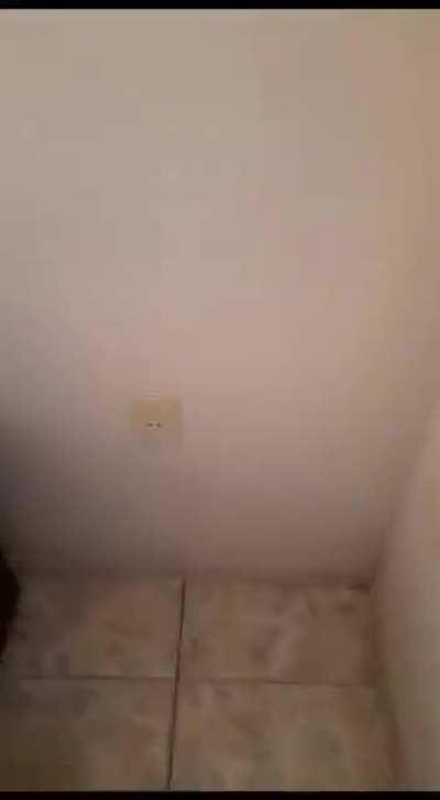 vou deixar meu celular carregando