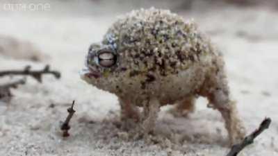 Jenes Goldstügg wollte ich etzala mit euch teilne ihr geilen Stügger ihr geilen