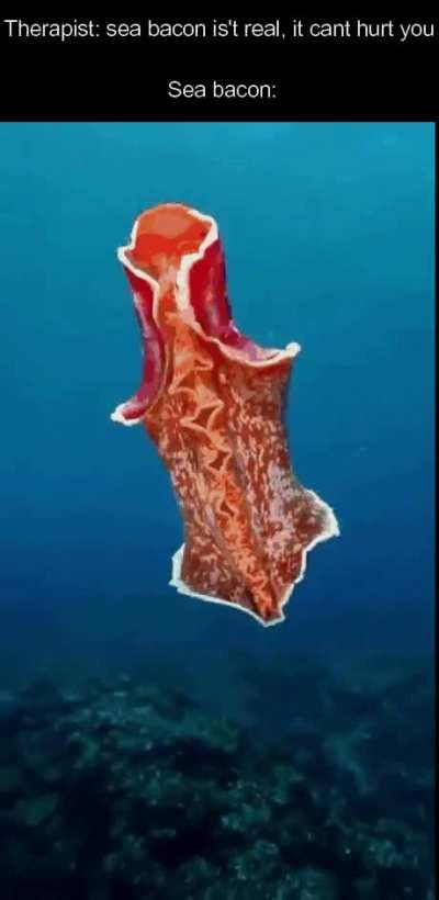 Sea Bacon