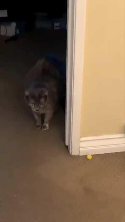 She used her whole body for this one 