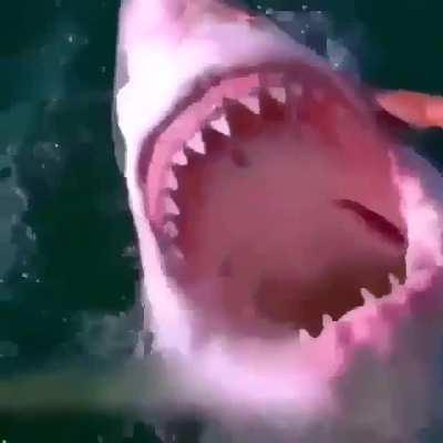 Nope...no way....forget about it!!