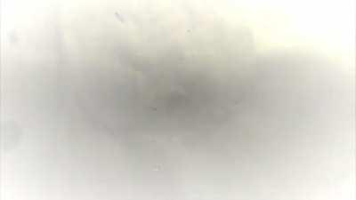 The WHO's recommended handwashing technique for cleaning all surfaces