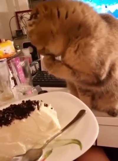 He also wanted some ice cream