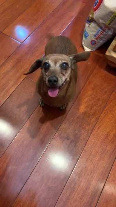 15 year old tippy taps