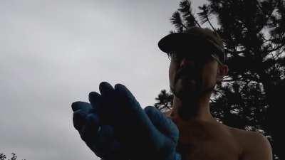 OnlyFlaps? Just a nature dude that learned how to befriend living dinosaurs (magpies) [OC]