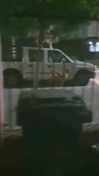 Imagine living in a developed country and miss something like this