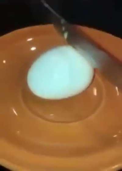 egg