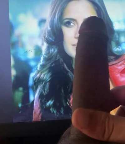 Katrina kaif cumtribute
