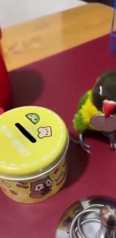 Did his chores and then locked himself in his cage