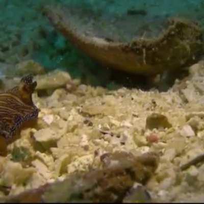 IT'S THAT DAY ONCE AGAIN