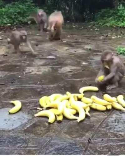 What are they scared of 😊🍌🍌🍌wow