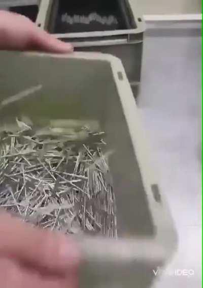 The way these nails align