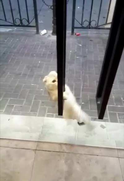 When you can't wait for the store to open. ?. ?