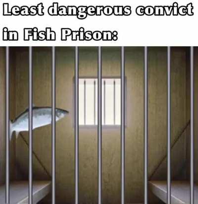 o god how does this happen