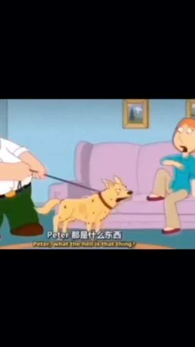 family guy did it first