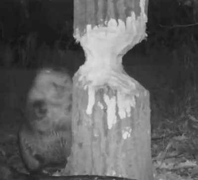 Thoughts on this technique?