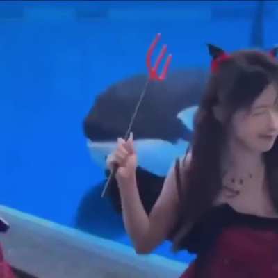 The appreciative orca