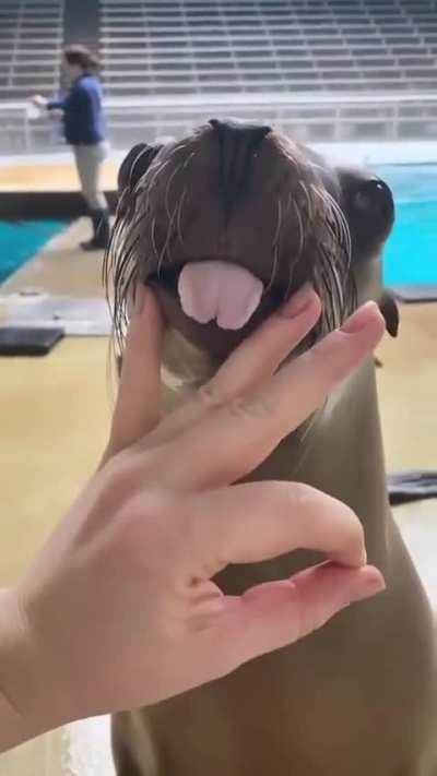 😳😛😲😬 papaizinho