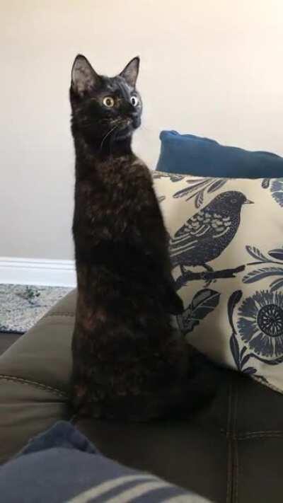 She’s not a fan of the pest control guy.