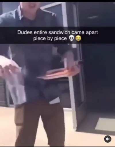 the universe falling apart after harambe died