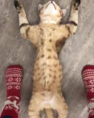 Wonder what he's doing...