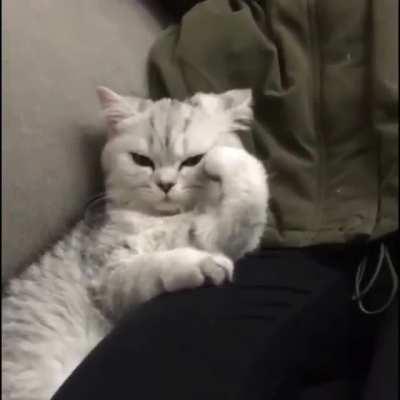 Calculations are happening. You will see the results soon.