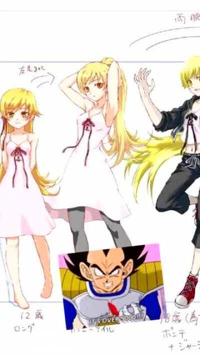 Waifu Review: Shinobu Oshino