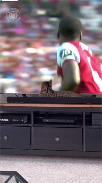 If you know you know